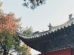 -洛阳白马寺