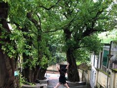 -龙环葡韵住宅式博物馆