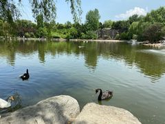 -西安秦岭野生动物园