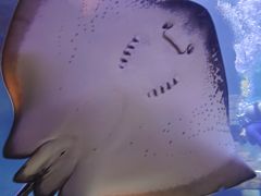 -西安曲江海洋极地公园