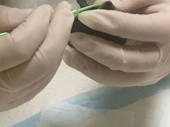 -派联宠物医院·24h·CT·异宠
