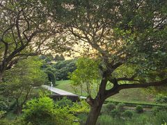 -东莞植物园