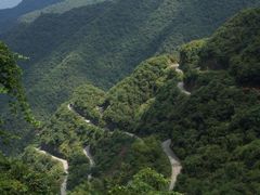 -四明山国家森林公园