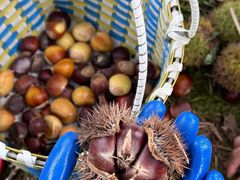 -楠溪江风景名胜区