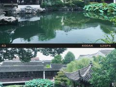 -艺圃