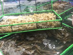 -盒马鲜生(大成店)