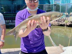 -酷鱼垂钓CLUB(朝阳区博大路店 )