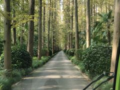 -上海怡沁园度假酒店