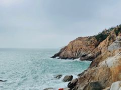-广东惠东海龟国家级自然保护区