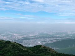 -梧桐山风景名胜区