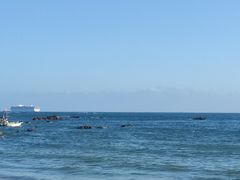 -西涌国际滨海旅游区