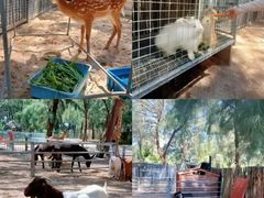 -六鳌翡翠湾滨海度假景区