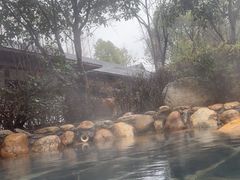 -庐山上汤温泉度假村