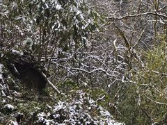 -西岭雪山大飞水景区