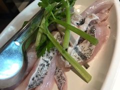 -大鱼山房鱼头火锅(老字号品质店)
