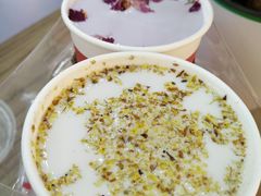 -1828王老吉·草本新茶(珠江新城地铁站店)