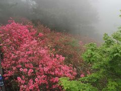 -木兰云雾山