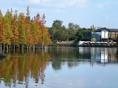 -白鹭湾湿地公园