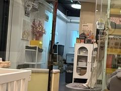 -有喵·猫咖·狗咖·30几只猫10只小狗(岗厦店)