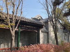 -迎泽公园