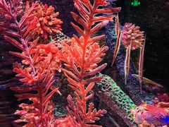 -沈阳海洋探索中心