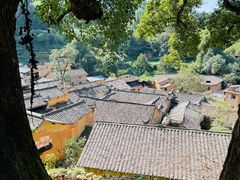 -杨家堂村