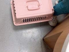 -联合动物医院(光谷诊疗中心)