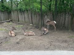 -上海野生动物园