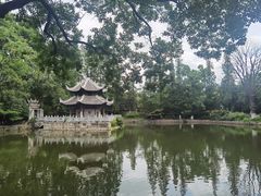 -习家池