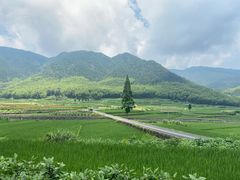 -泽雅景区