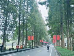-青城山