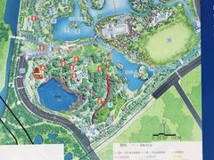 -王借岗森林公园