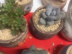 -物美超市(三里河店)