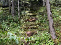 -峡谷浮石林景区