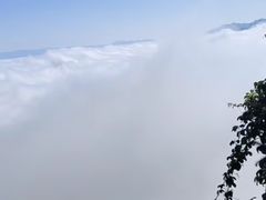 -云南屏边大围山国家公园