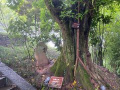 -丰都鬼城名山景区