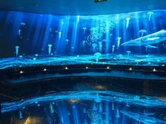 -唐宫足道·SPA·住宿24H会所(木渎店)