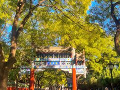 -北京国子监胡同