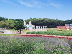 -松山湖梦幻百花洲