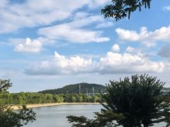 -羊山湖公园