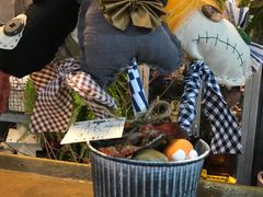 -甲乙果 美术书法(通州校区)