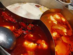 -青瓷火锅料理(西单大悦城店)