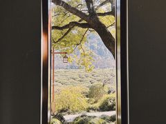 -中国茶叶博物馆(双峰馆区)