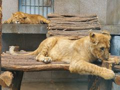 -西安秦岭野生动物园