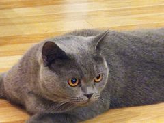 -壹人壹像工作室(购物公园店)