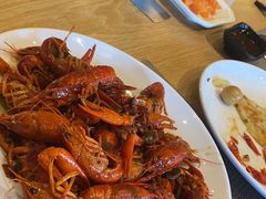 -齐河孔雀王温泉酒店·金孔雀自助百汇