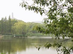 -北坞公园