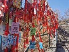 -香山公园