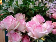 -BoBloom花店(晶耀前滩店)