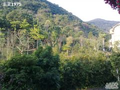 20110228510-深圳东部华侨城茵特拉根酒店